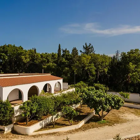 Noi - Zoi The Ferienhaus Antipata (Erisos)